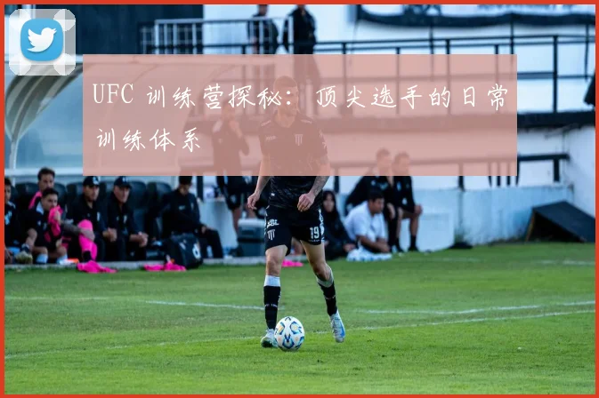 UFC 训练营探秘：顶尖选手的日常训练体系