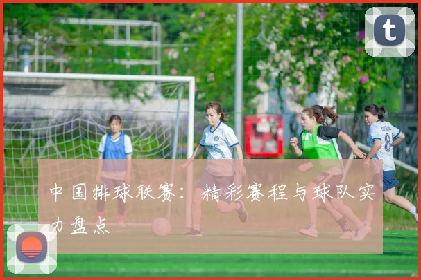 中国排球联赛：精彩赛程与球队实力盘点